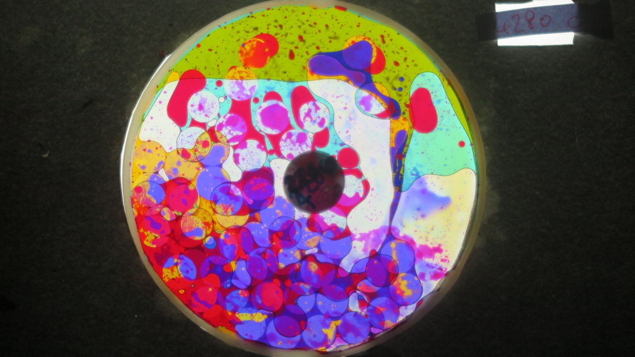 BV4280 bubble vision oil wheel